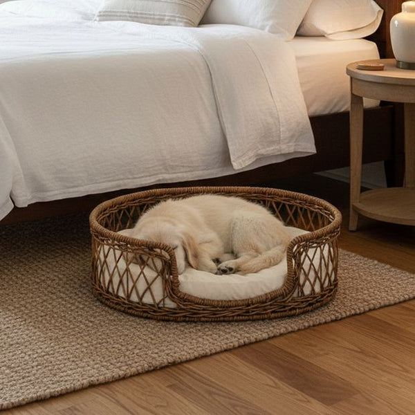 SHOP BEDS