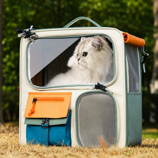 Cats Travel Bag Portable Out Pet Trolley Suitcase