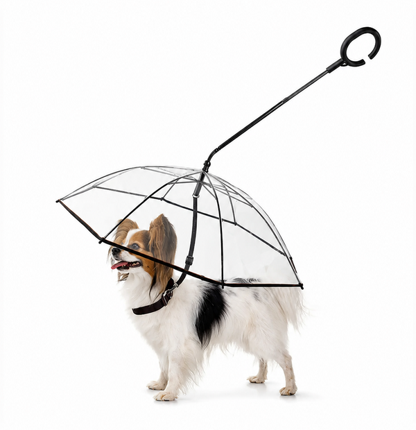Dog Umbrella