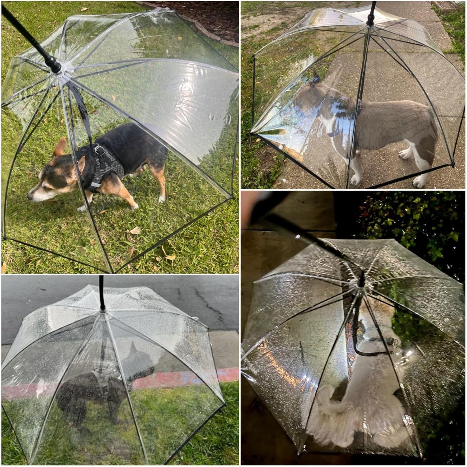 Dog Umbrella for Small Dogs, Clear Dog Umbrella Leash, Rainproof Waterproof, Doggy Walking Rain Umbrella with Adjustable Leash, Small Puppy Outdoor Rain Gear